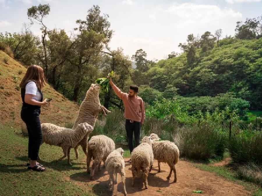 rashivanasiridenkanikottai-img